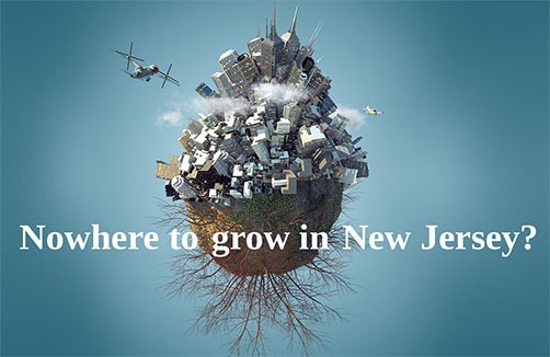 Image of a city growing out of a seed