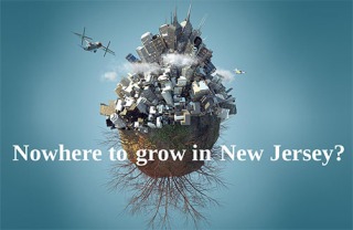 Image of a city growing out of a seed